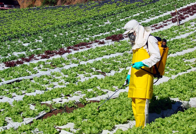 Brasileiros consomem 7 litros de agrotóxicos por ano, revela a revista Problemas Brasileiros