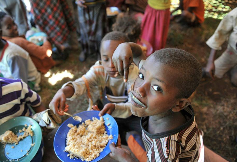 Especialistas discutem benefícios da alimentação escolar vinculada à agricultura familiar