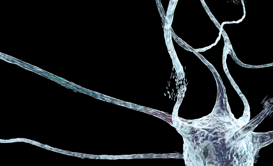 Vias Nrf2/ARE como um Potencial Alvo Terapêutico na Doença Neurodegenerativa