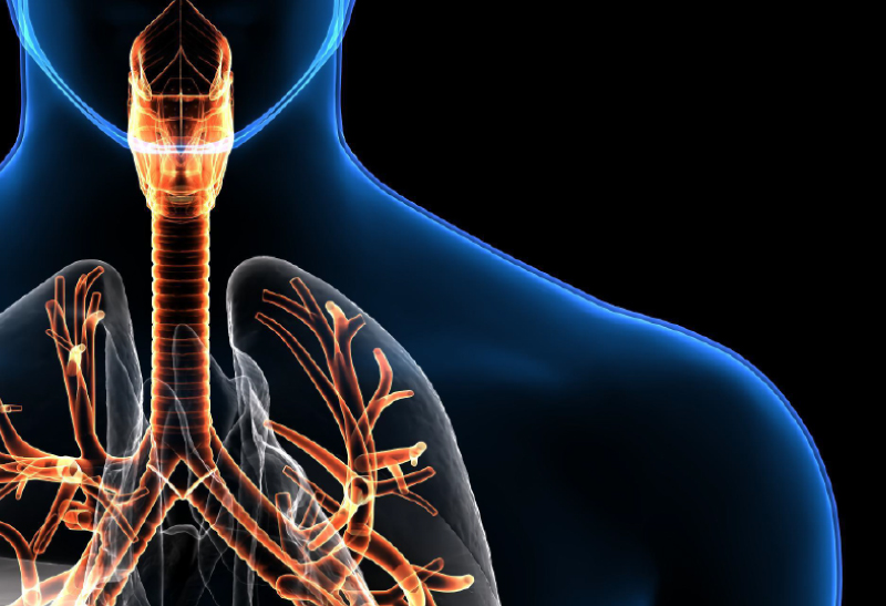 Betaglucanos nas Infecções do Trato Respiratório Superior