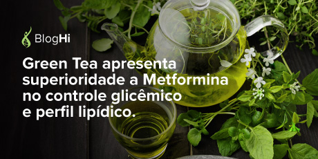 Green Tea apresenta superioridade a Metformina no controle glicêmico e perfil lipídico.