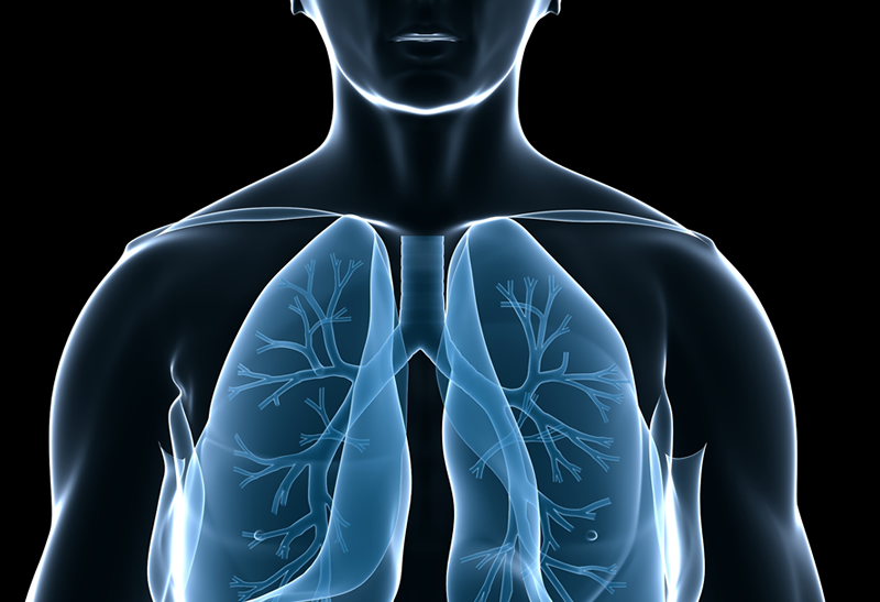 Suplementação de Vitamina D3 Previne a Exacerbação da Doença Pulmonar Obstrutiva Crônica