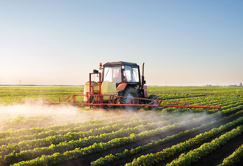 MP pode afrouxar regras para agrotóxicos