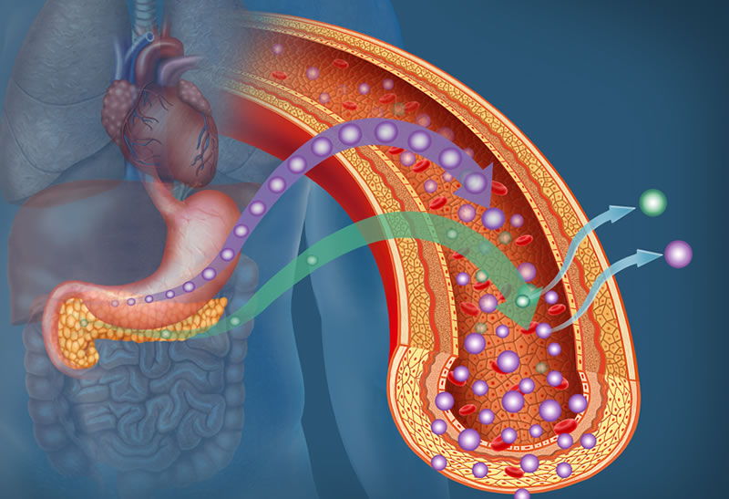 Terapia com Vitamina D promove melhora do controle glicêmico em pacientes com resistência à insulina, pré-diabetes e diabetes tipo 2